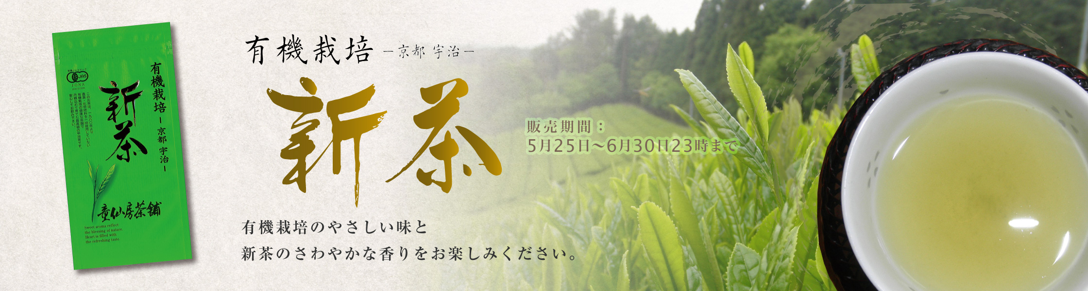 新茶
