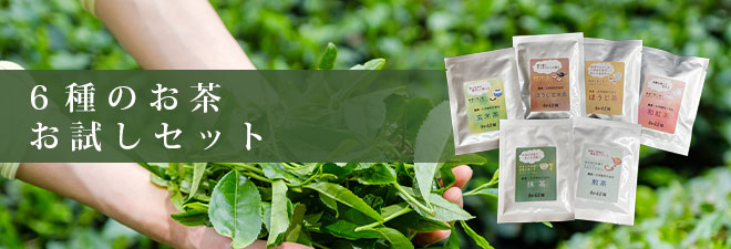 童仙房茶舗で人気のお茶6種のお試しセット